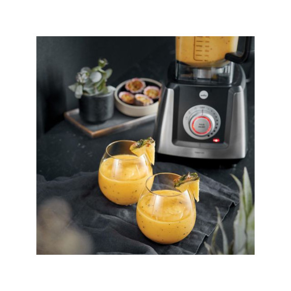 Blender WILFA Power Fuel stål