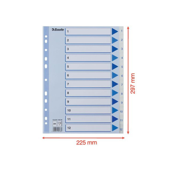 Register ESSELTE A4 plast 1-12 blå/hvit