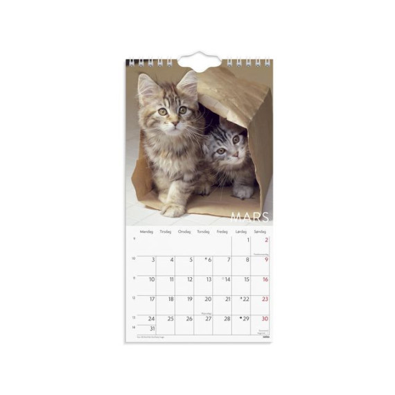 Veggkalender GRIEG 2025 Katter Mini