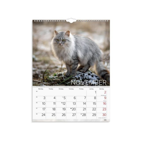 Veggkalender GRIEG 2025 Katter