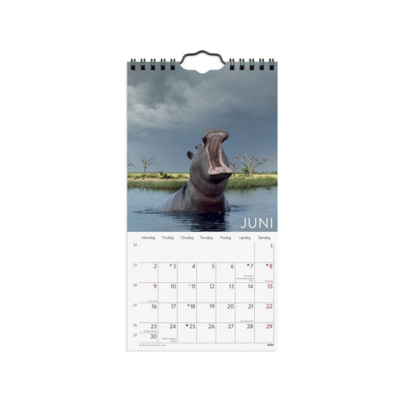 Veggkalender 2025 Wild Animals Mini