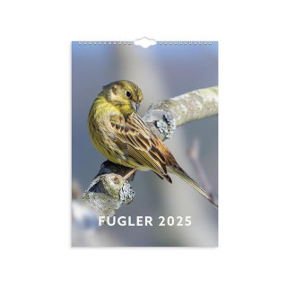 Veggkalender GRIEG 2025 Fugler