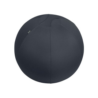 Balanseball LEITZ Ergo 65cm Mørk Grå