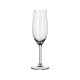 Glass ONIS Fortius champagne 21,5cl